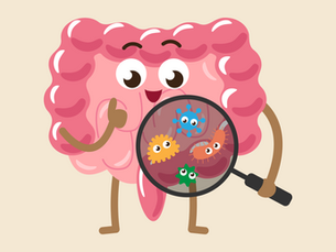 A variety of fiber-rich fruits, vegetables, and whole grains that are natural sources of prebiotics for gut health.