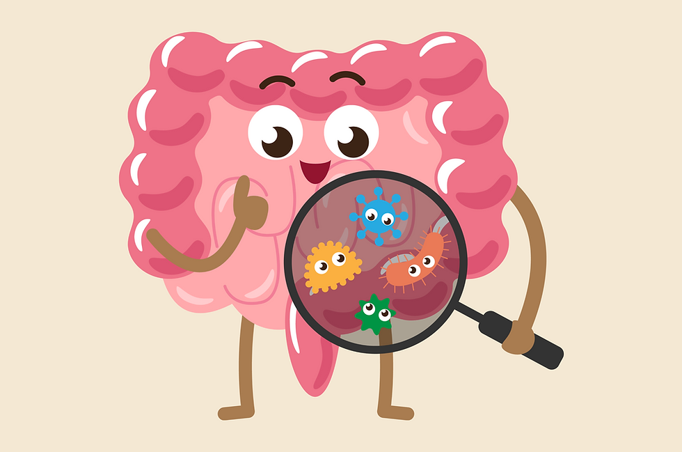 A variety of fiber-rich fruits, vegetables, and whole grains that are natural sources of prebiotics for gut health.