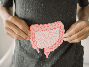 Healthy gut illustration showing balance of good bacteria and digestion