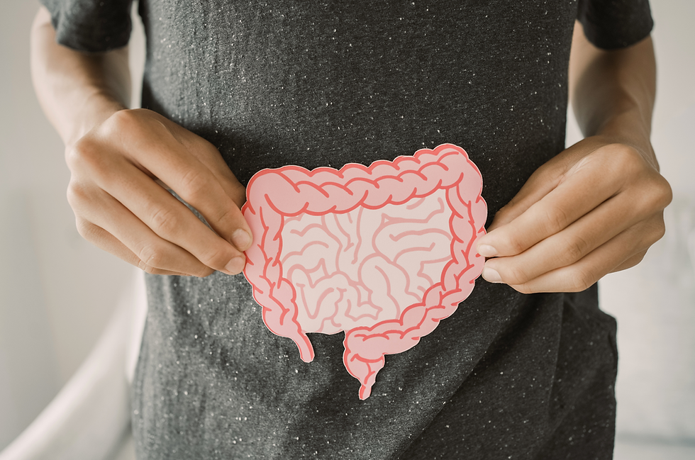 Healthy gut illustration showing balance of good bacteria and digestion