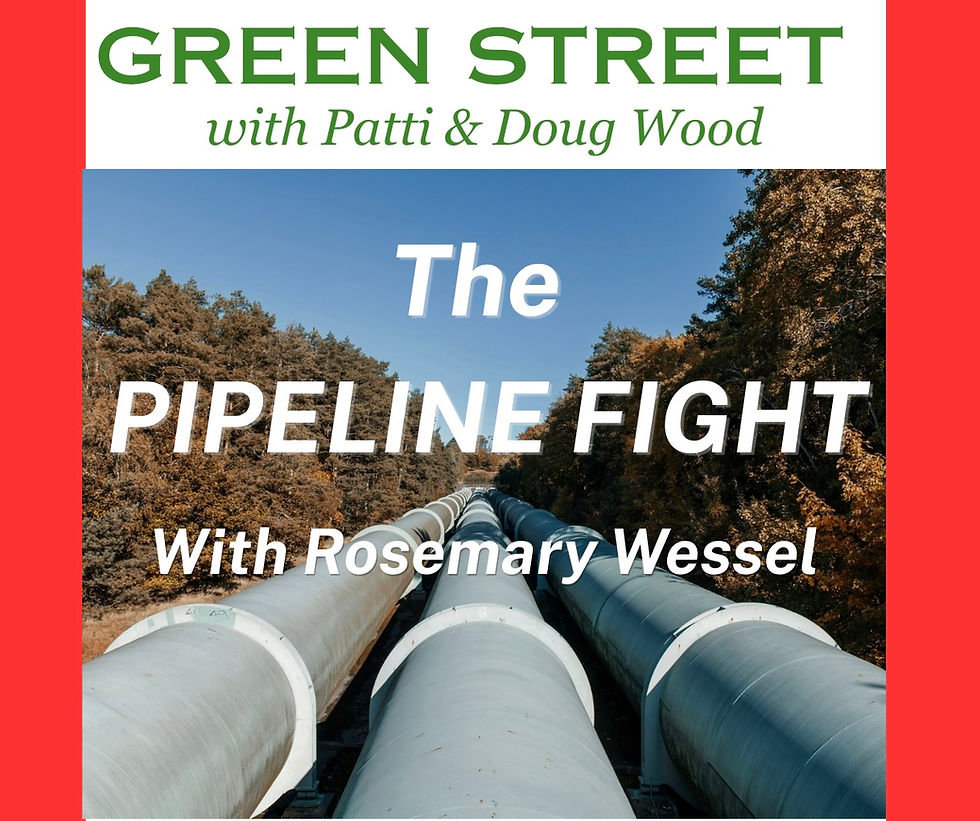 The Pipeline Fight - with Rosemary Wessel