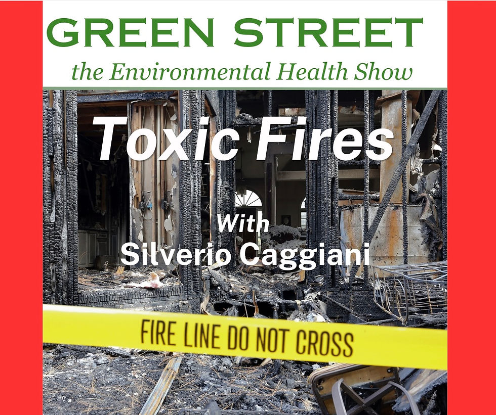 Toxic Fires - with Silverio Caggiano
