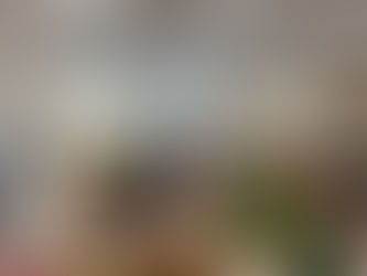 DLSU LIBRARIES - 1ST WEEK