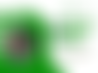 Let’s Talk About Money: The conversation most women were never invited to have