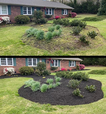 before and after new mulch