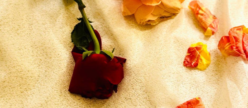 Petal Power: A Reggio-Inspired Exploration of Flower Petals for Young Learners.
