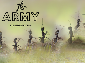Discover the Hidden Secrets of How You Can Strengthen Your Immune System Naturally 