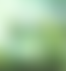 Como o CCH TagetikAjuda a Responder 