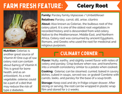 Farm Fresh Feature: Celery Root