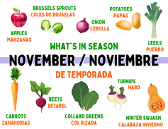 What's in Season: November