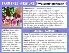 Farm Fresh Feature: Watermelon Radish