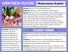 Farm Fresh Feature: Watermelon Radish