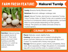 Farm Fresh Feature: Hakurei Turnips