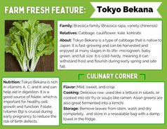 Farm Fresh Feature: Tokyo Bekana