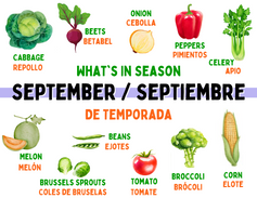 What's in Season - September