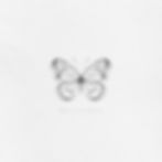 Borboleta 3D
