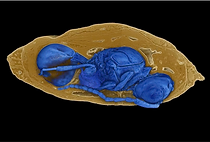 Screenshot 2025-04-03 at 6.56.44 PM.png