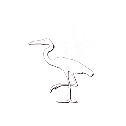 The Kemp Lake Logo: a blue heron standing amongst reeds.