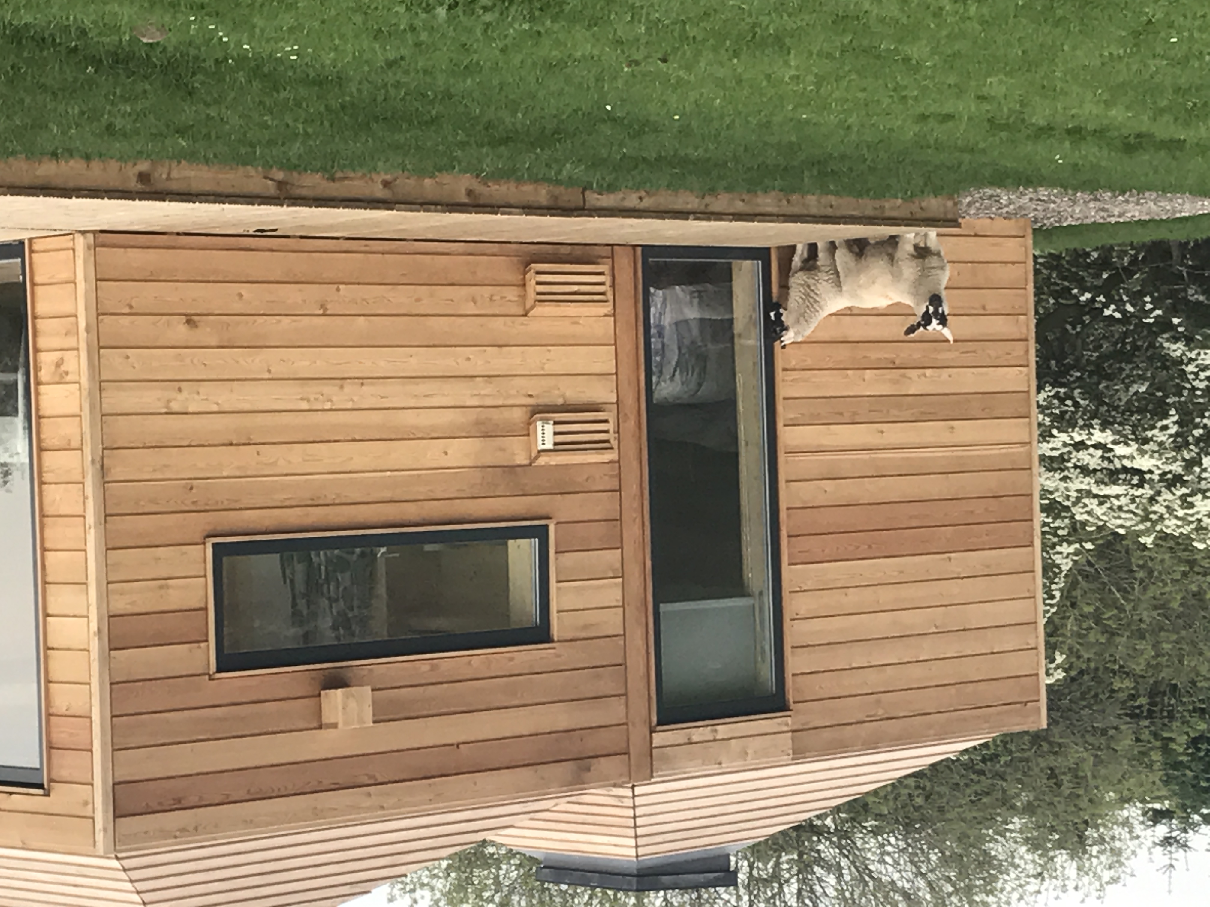 Nosey Neighbours