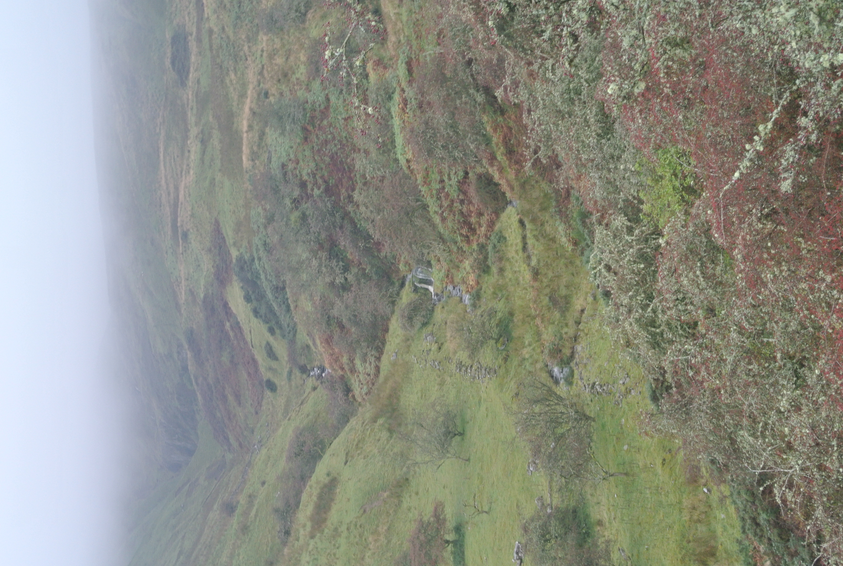 The Glen