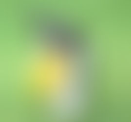 Let You Entertain Me