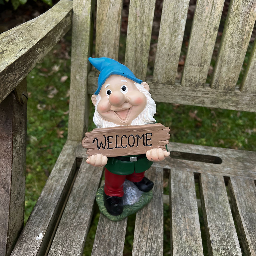 Thumbnail: Welcome Sign Gnome