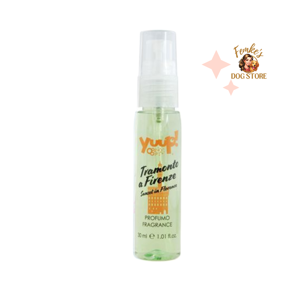 YUUP! PARFUM - SUNSET IN FLORENCE - 30 ML