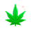 Thumbnail: Sodapup - Colorado Maple Leaf