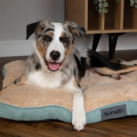 Thumbnail: Scruffs - Cosy Mattress