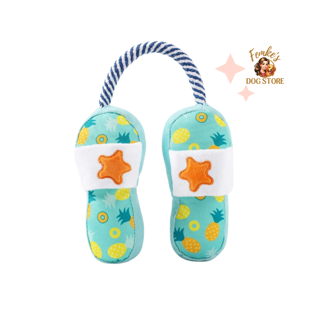 Beach Daze – Slippers