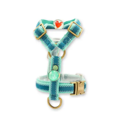 Thumbnail: Dog with a Mission - Storm set blauw