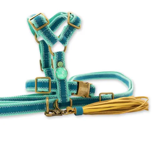 Thumbnail: Dog with a Mission - Storm set blauw