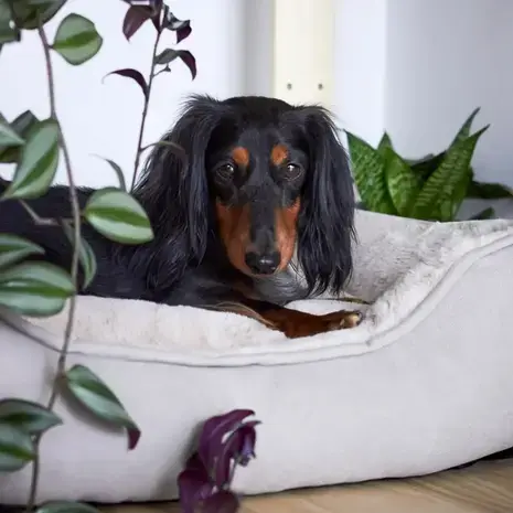 Thumbnail: District 70 - SNUG Box Bed Zand