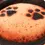 Thumbnail: Doggo's Java