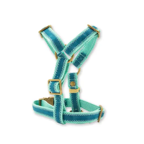 Thumbnail: Dog with a Mission - Storm set blauw