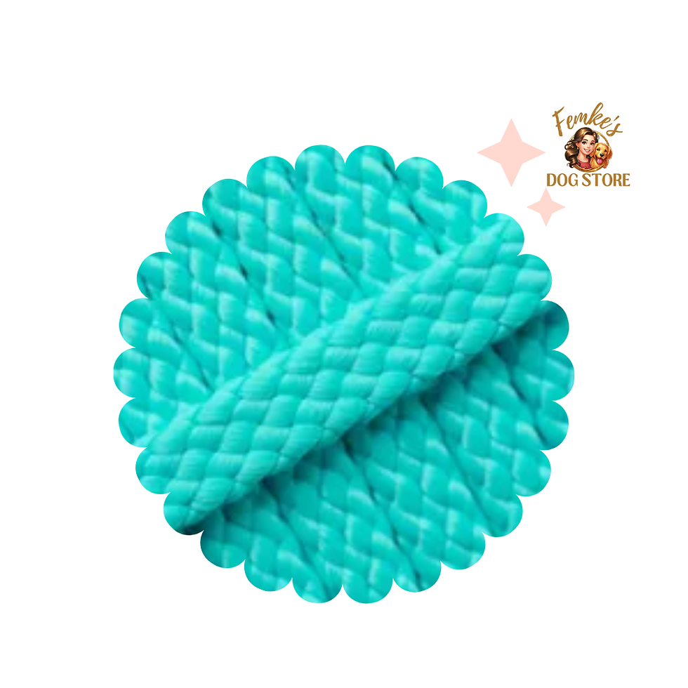 Wandellijn - Turquoise