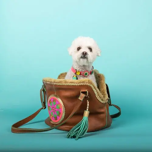 Thumbnail: Dog with a Mission - Bonita Bag