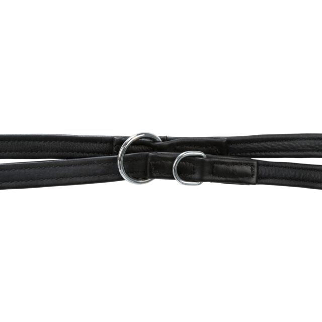 Thumbnail: 3-standen lijn van Leer