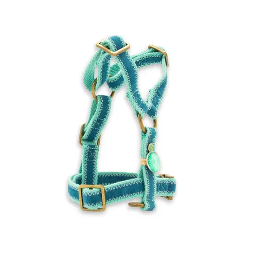 Thumbnail: Dog with a Mission - Storm set blauw