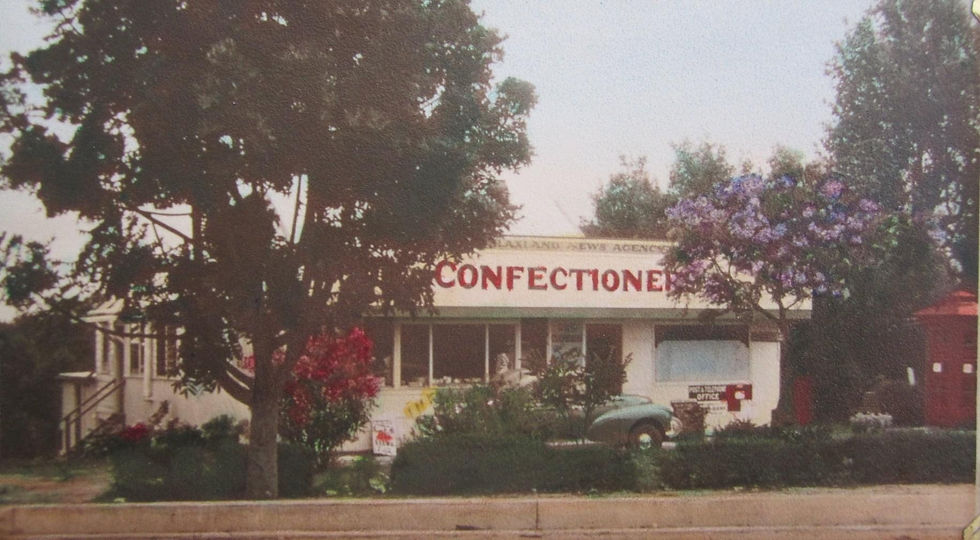Blaxland Newsagency