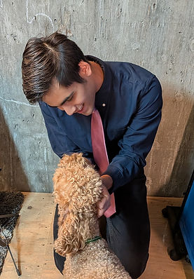 doghelp_edited.jpg