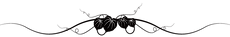 hr01.png