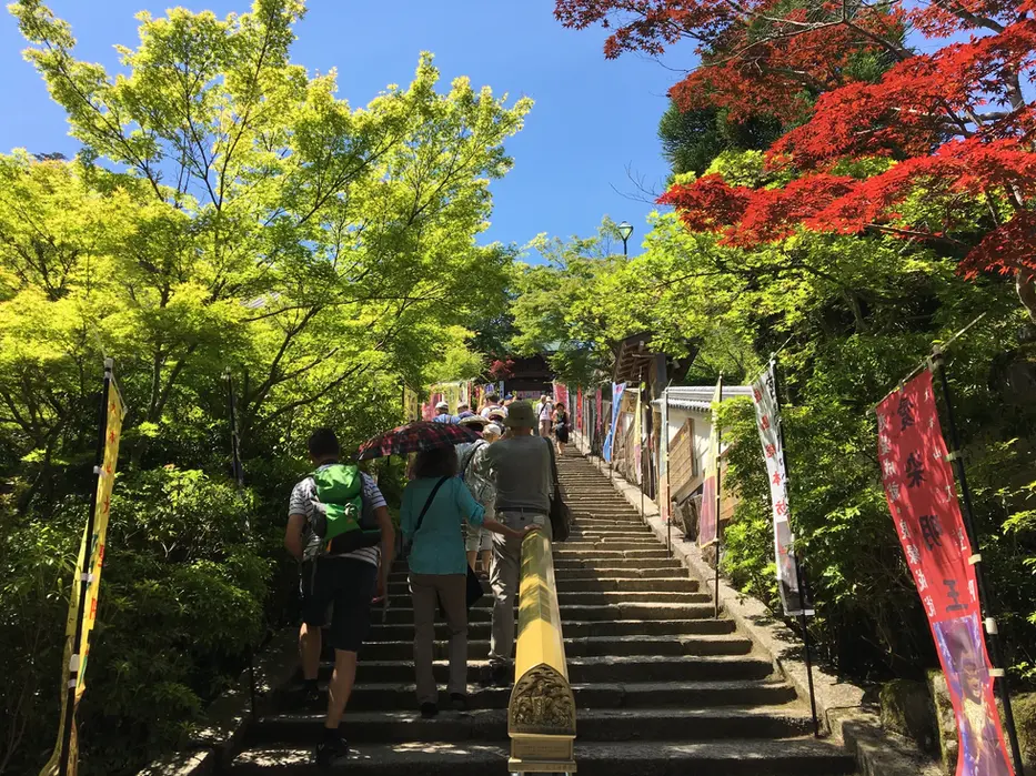 Mt. Misen panoramic vista