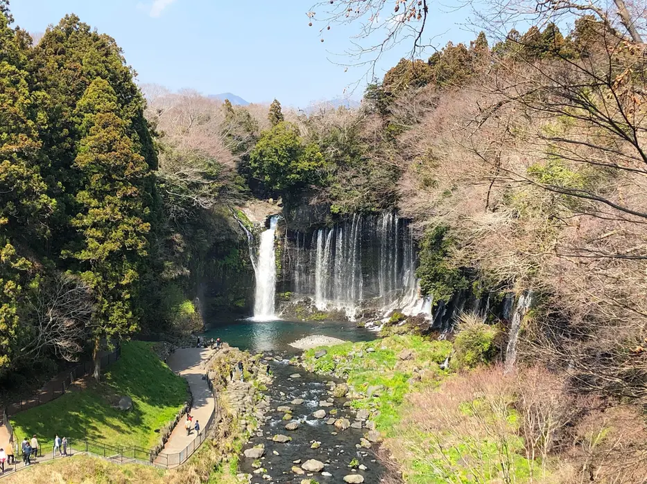 A wide view of Shiraito Falls cascading down a moss-covered cliff, surrounded by forest in early spring.