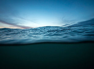 open source intelligence help