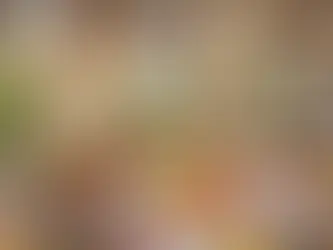 Companhias aéreas fazem ceia de Natal a bordo