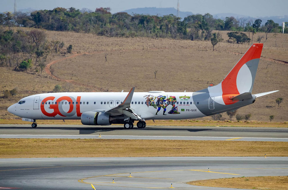 Gol Linhas Aéreas Tartarugas Ninja