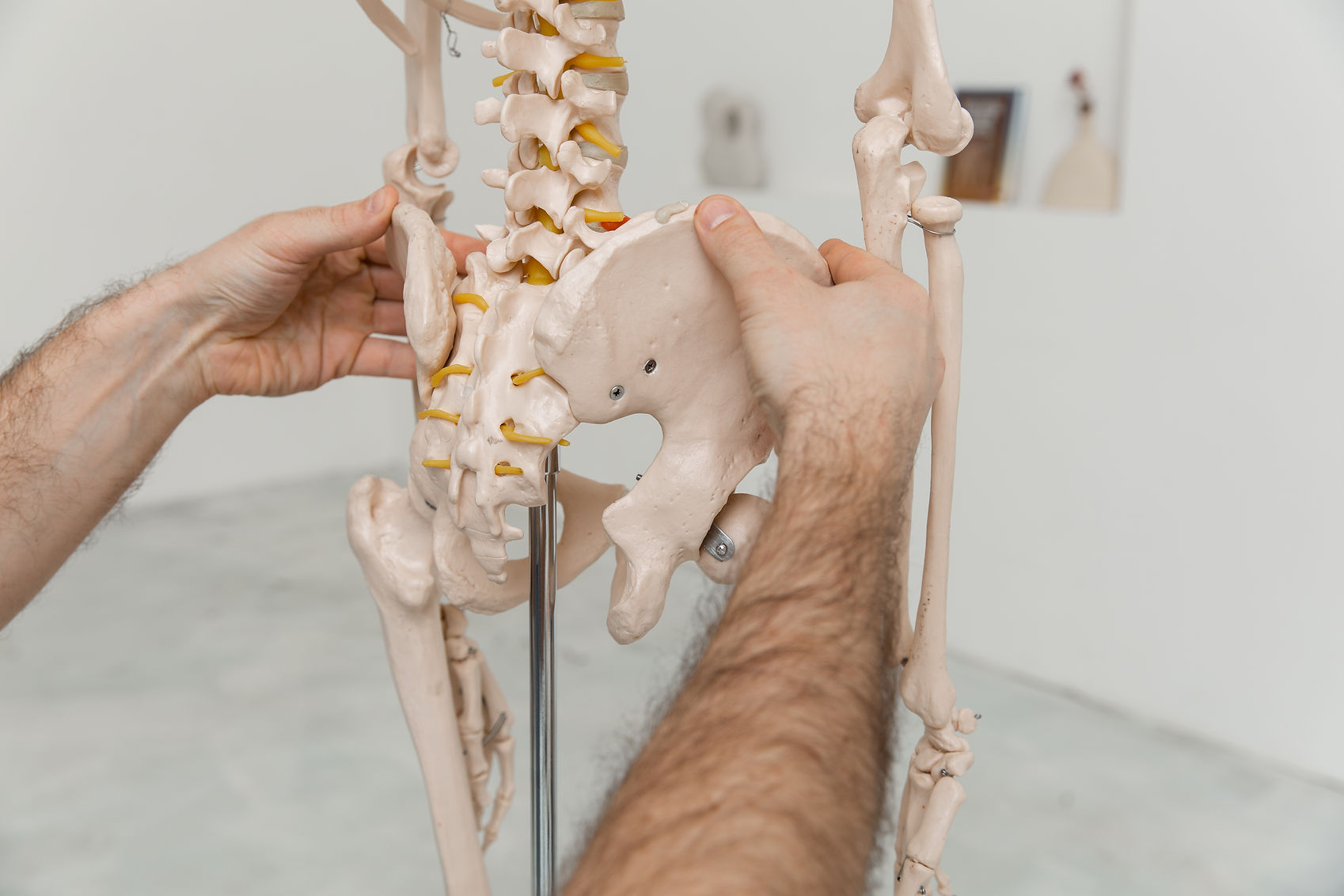 Doctor man pointing on pelvis of human skeleton anatomical model. Physiotherapist explaini