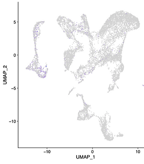 Single cell sequencing analyses reveals subpopulation of cells expressing specific disease mearkers