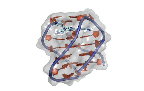 In silico docking of small DNA structures to identify potent therapeutic interventions